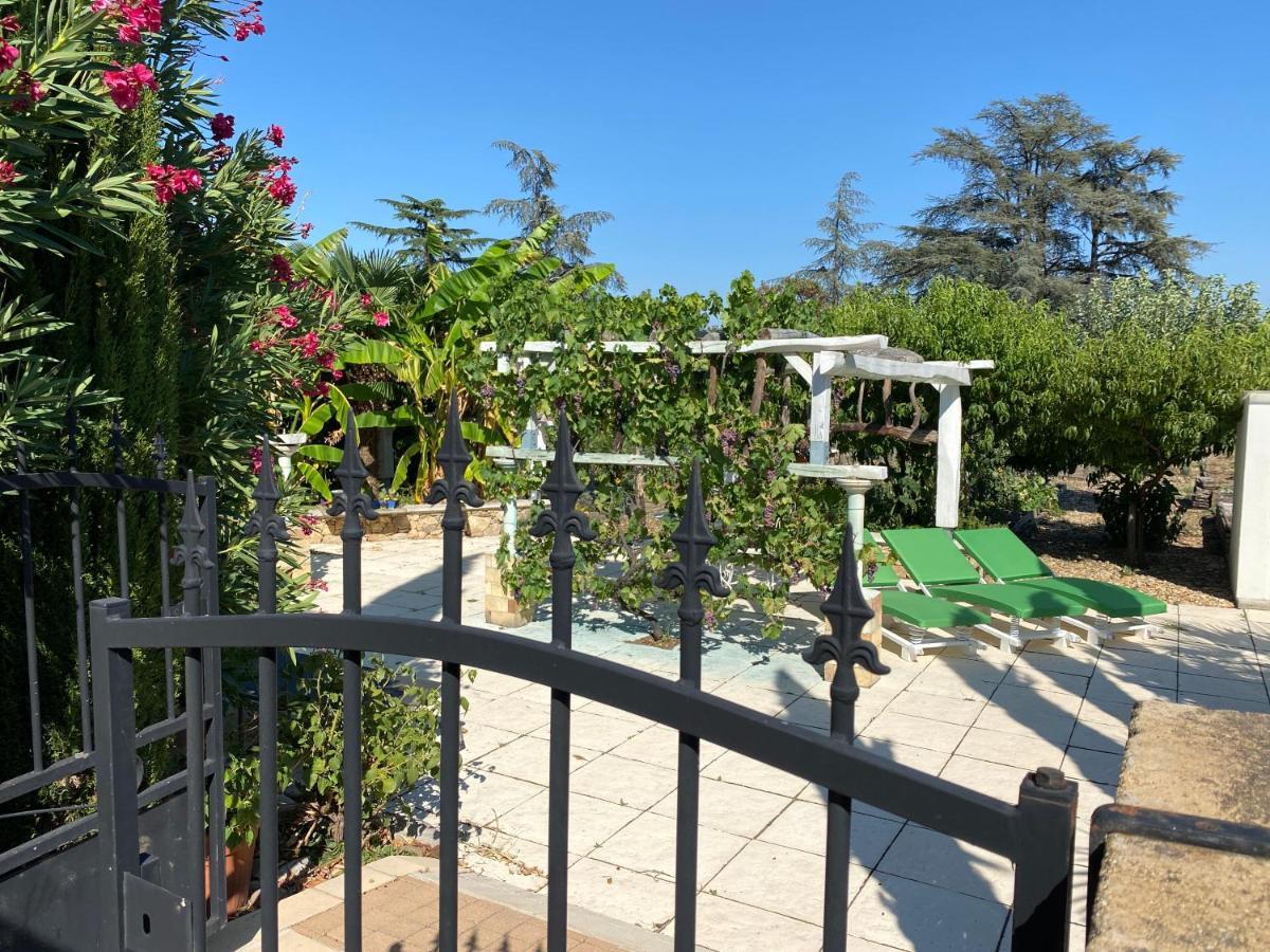 Chambres privées dans maison avec grand parc et piscine proche Via Rhona Andancette Esterno foto